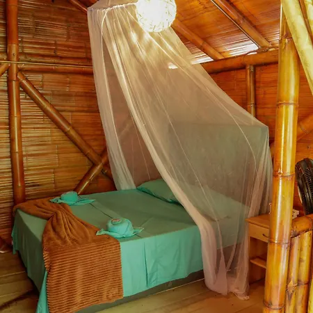 Glamping Rio Claro Hotel Doradal Exterior photo