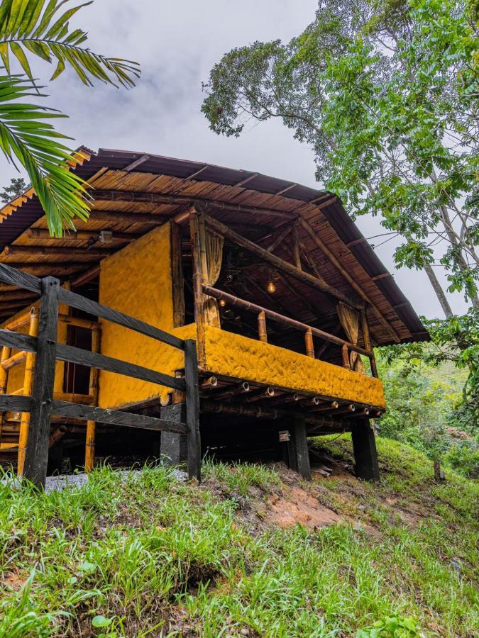 Glamping Rio Claro Campsite *