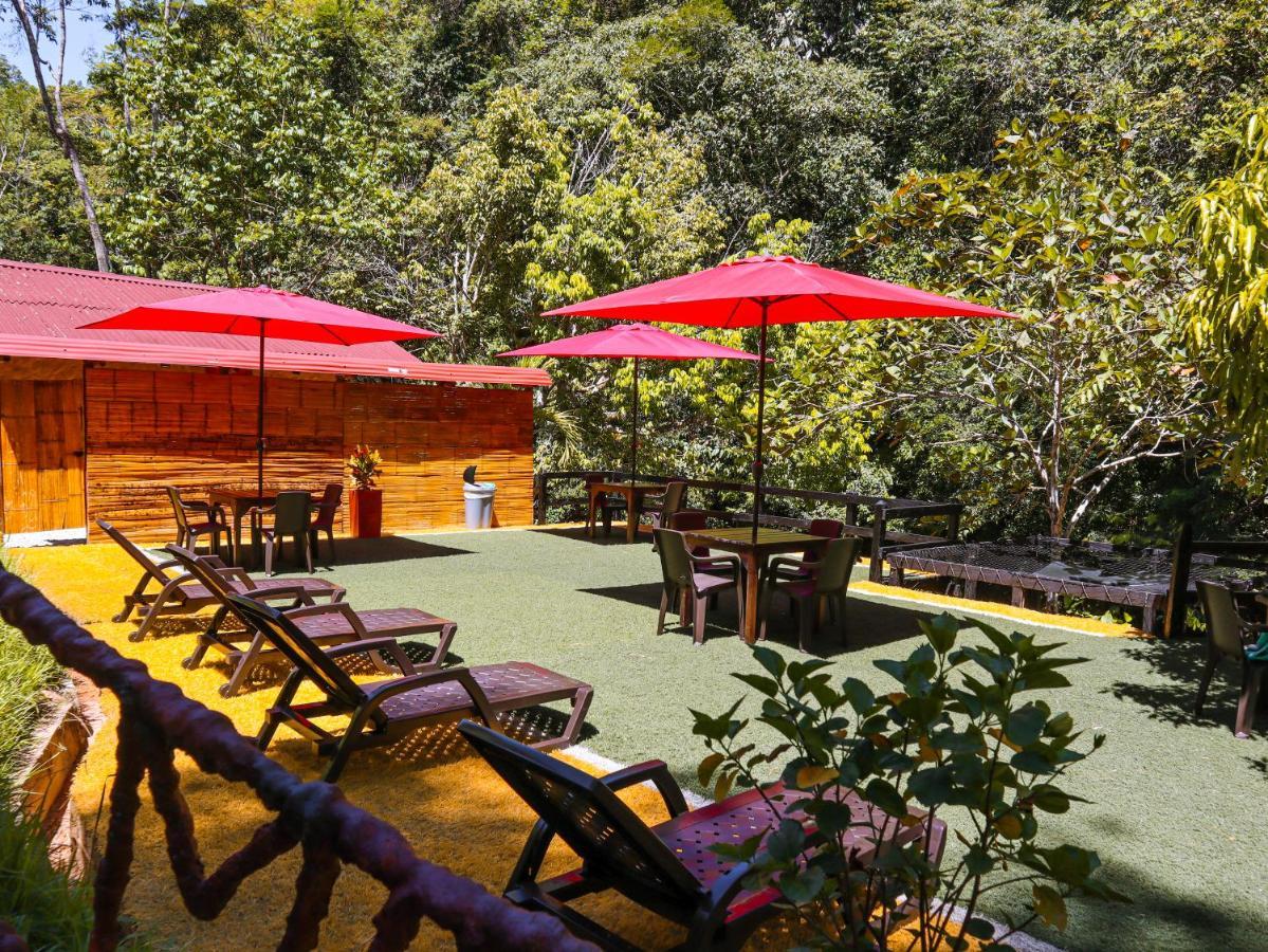 Glamping Rio Claro Doradal